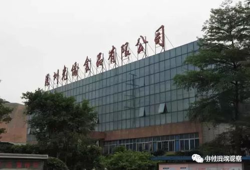 舊改快訊 光明光僑食品廠綜合整治類項(xiàng)目擬調(diào)出計劃